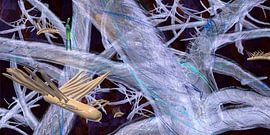 un monde différent à explorer sur Govert Mesman