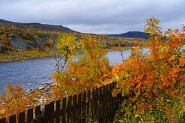 Autumn in the far north by Joke Beers-Blom