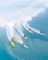 Surfers Delight