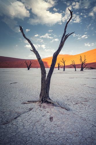 Geen water om te overleven