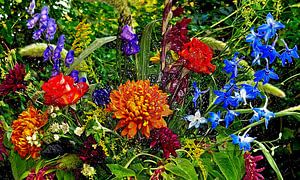 Floraler Spätsommertraum 