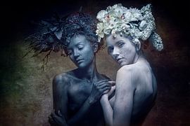 Zwart Wit von Allard Kamermans