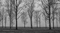 Herbst im Park Hitland