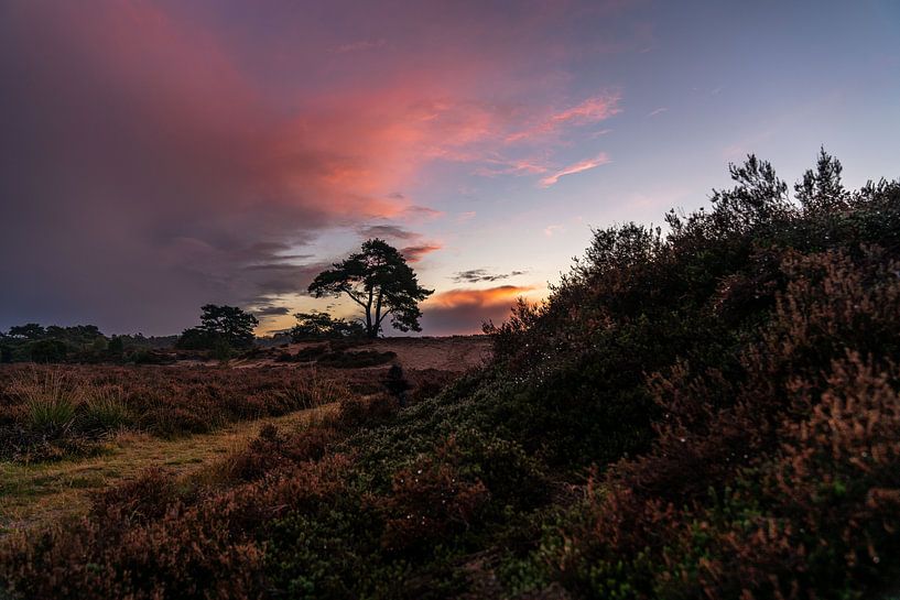 Dutch landscape in African atmosphere by ina kleiman