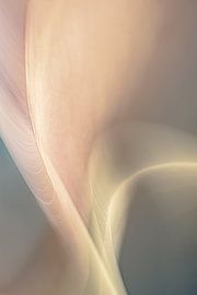 Adagietto sur Beth Buelow