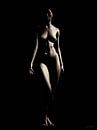 Naakte vrouw – Naakt model komende vanuit het donker van Jan Keteleer thumbnail