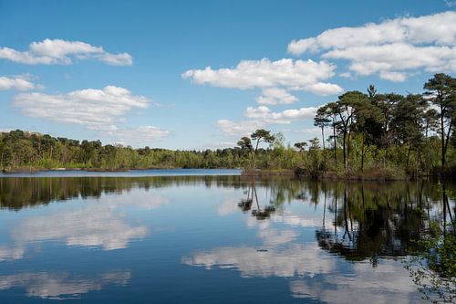 Landschap met waterweerspiegeling