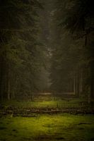 Dorst Forstwirtschaft