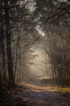 Pad dat langzaam verdwijnt van Miranda Geerts Art