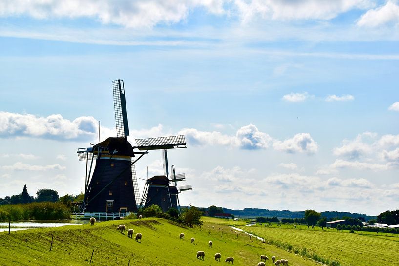 Niederländische Windkraftanlagen von Jan Radstake