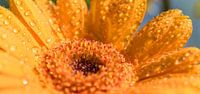 Alle kleine details