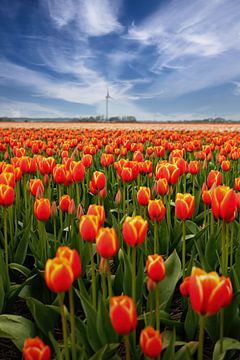 Hollands gezicht van Eva Bos