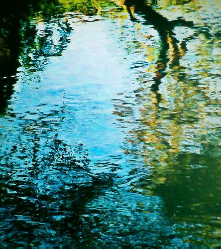 Reflecties van de natuur