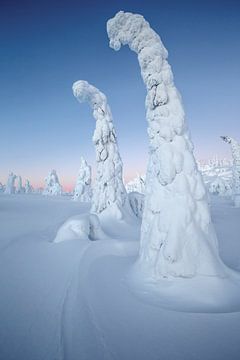 Baum mit Schnee bedeckt von Menno Schaefer