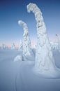 Arbre couvert de neige par Menno Schaefer Aperçu