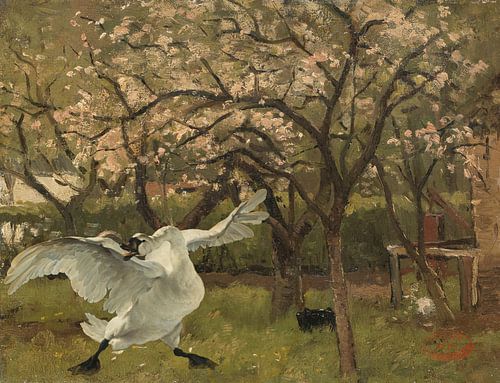 Le cygne en voie de disparition dans un arbre en fleurs dans un verger