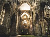 Abbey Ruins, Wales von Art By Dominic Miniaturansicht