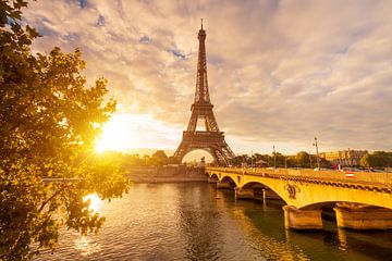 Paris Eiffel Tower  by davis davis
