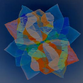 Organique et abstrait. Textures transparentes aux couleurs intenses. sur STUDIO ARTSY