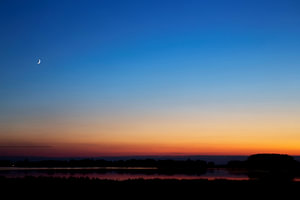 Schemer in de Biesbosch met de maan