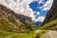 The Milford Road by Jasper den Boer thumbnail