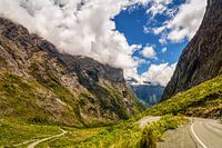 The Milford Road
