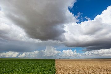 Carel Coenraadpolder IV sur Fonger de Vlas