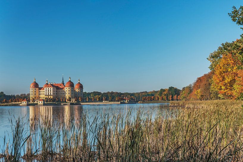Moritzburg Castle, Saxony by Gunter Kirsch