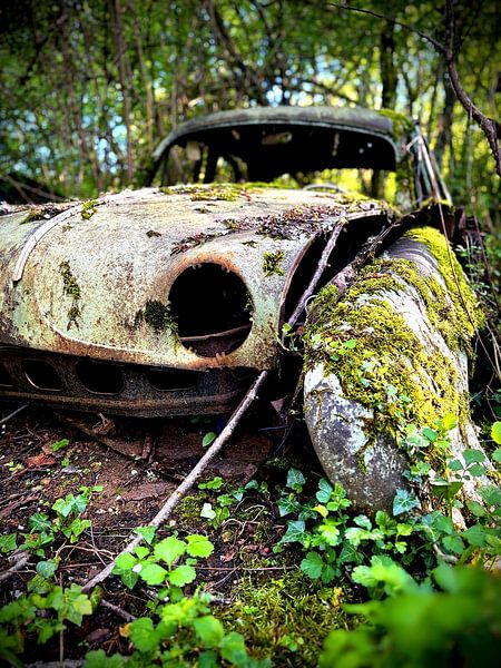 Nature takes over the car by Abandoned wonderland