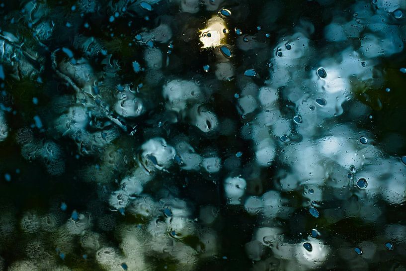 Drops by Ron Steens