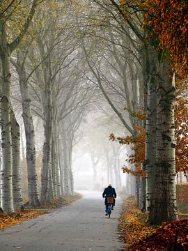 Radfahrer im Nebel von Klik! Images
