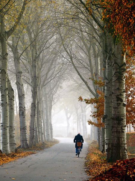 Cyclist in the fog by Klik! Images