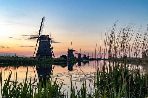 De windmolens in Kinderdijk.
