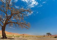 en cours de route en Namibie par Ed Dorrestein Aperçu