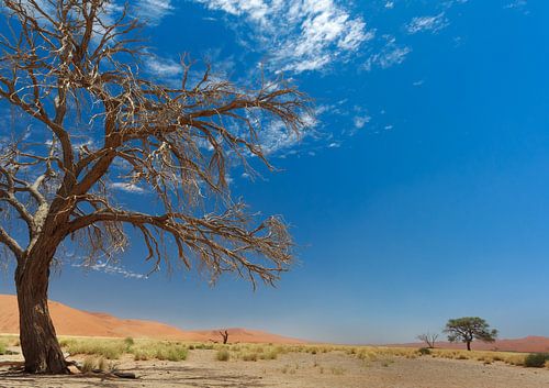 along the way in Namibia