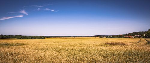 Horizon foto van een veld in de zomer in de felle zon