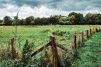 Weelderig groen - Het natuurreservaat Bünde in september!