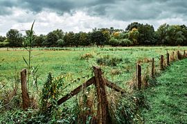 Saftiges Grün - Das Naturschutzgebiet Bünde im September! von Momentaufnahme | Marius Ahlers