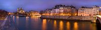 Notre-Dame de Paris en Ile Saint Louis bij avond / Notre-Dame de Paris and Ile Saint Louis at night