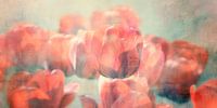 Rode Tulpen Panorama van Claudia Moeckel thumbnail