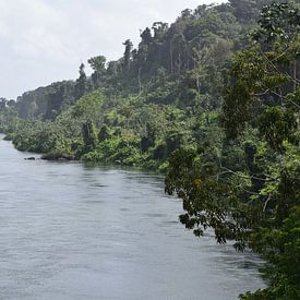Suriname rivier van Chantal de Rooij
