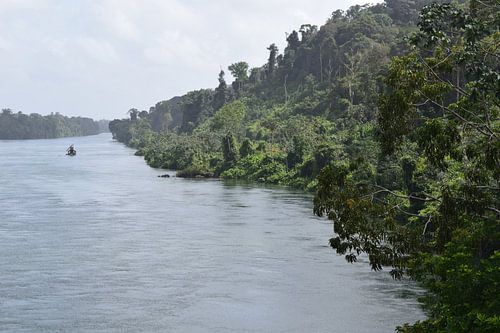 Suriname rivier