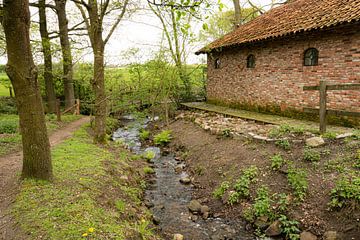 Moosbach bei Bels Mühle von Ron Poot