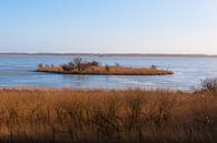 Oostvaarders plassen Almere van Brian Morgan thumbnail