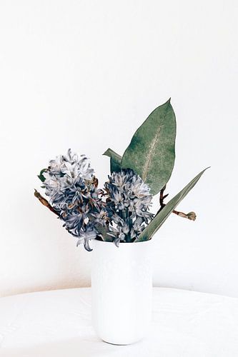 de blauwe