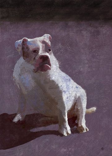 Sem, schilderij van een bulldog... honden schilderij.