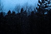 Pluie