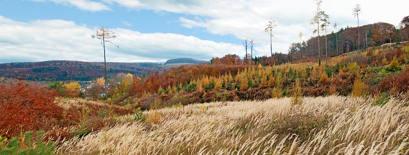 Herbstlandschaft im Wienerwald von Leopold Brix