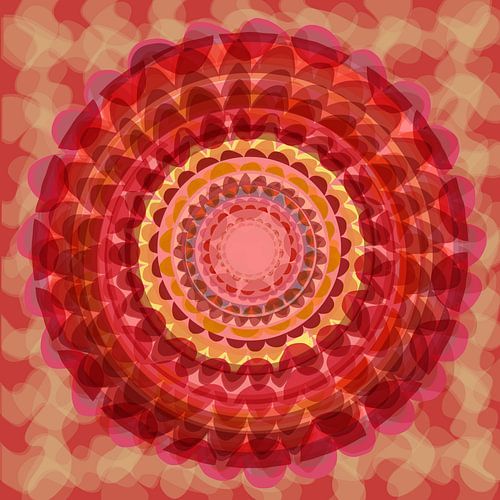 Cordoba kaleidoscope flower red