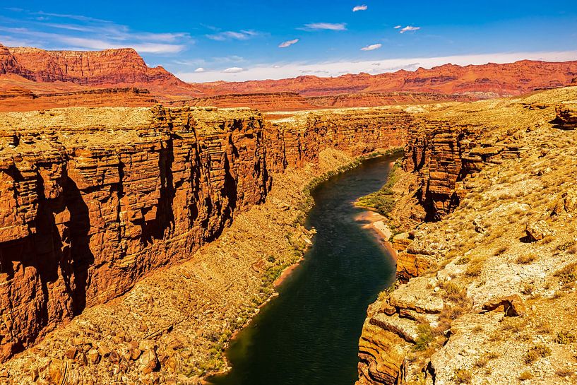 Colorado-rivier in kloof op het Coloradoplateau met rotsen in Arizona USA van Dieter Walther